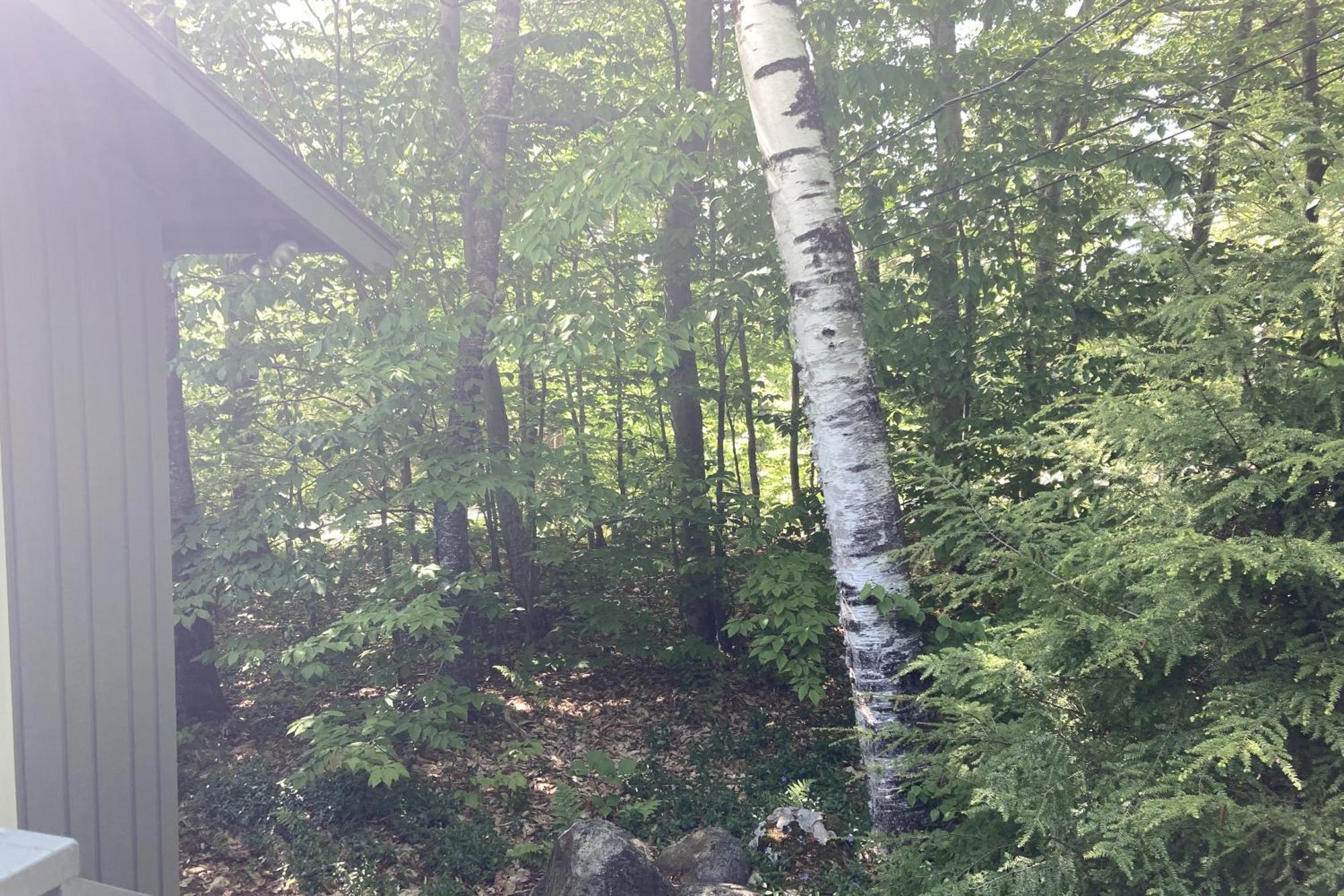 Snowflake Cabin Barnumville Екстериор снимка